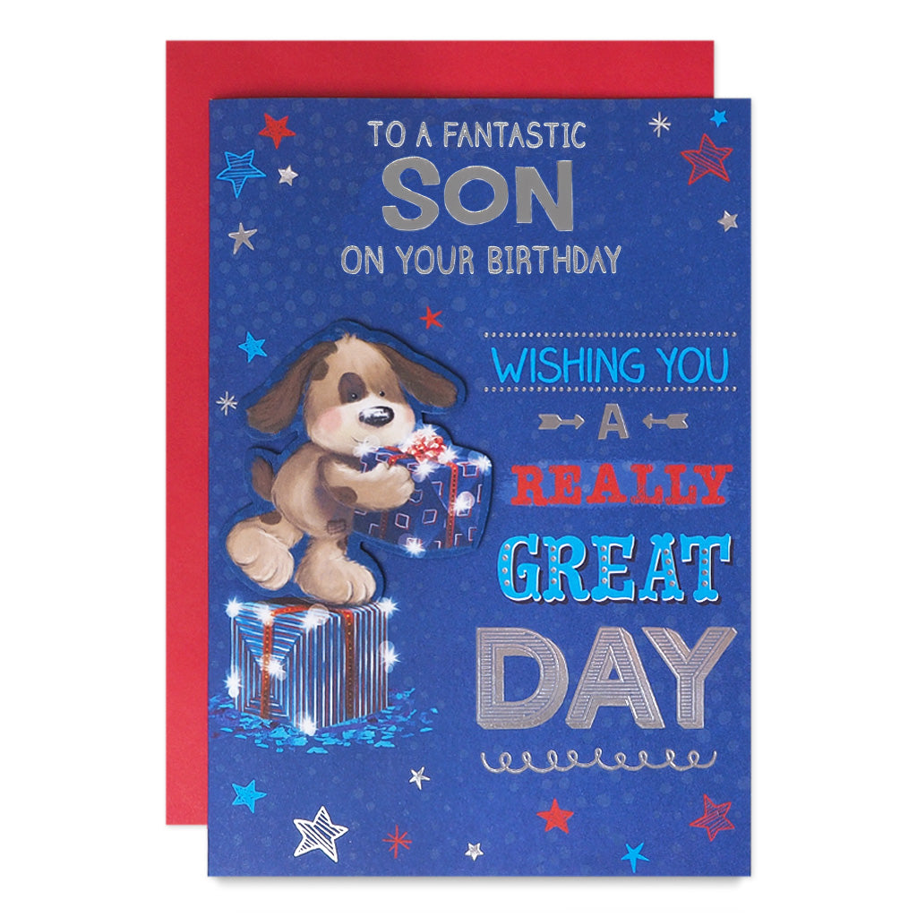 6pk Cards C90 Birthday Son - Tiger Feet Ireland