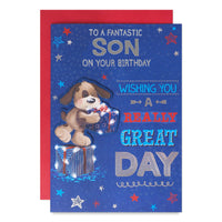 6pk Cards C90 Birthday Son - Tiger Feet Ireland