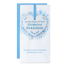 6pk Cards C55 Birth To Grandparents - Tiger Feet Ireland