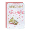 6pk Cards C75 Birth To Grandparents - Tiger Feet Ireland