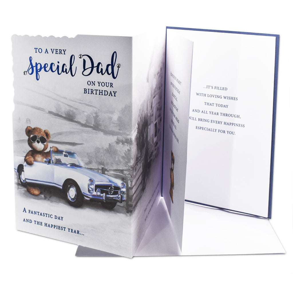 6pk Cards C90 Birthday Dad - Tiger Feet Ireland