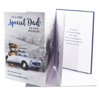 6pk Cards C90 Birthday Dad - Tiger Feet Ireland