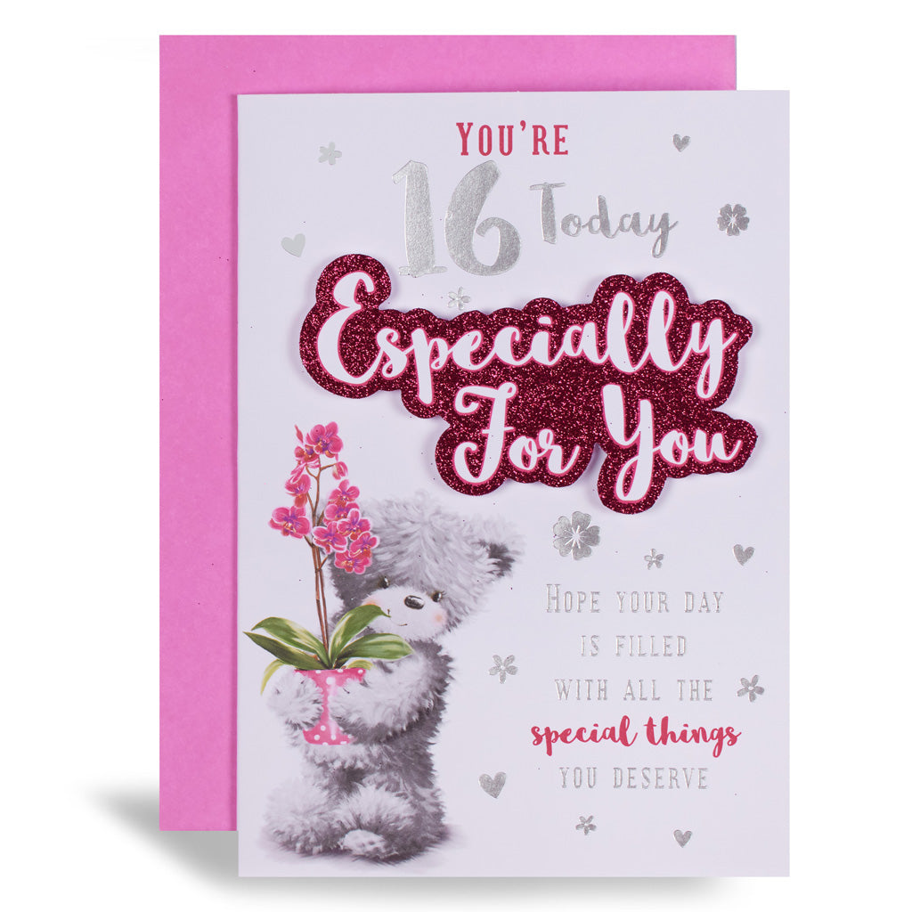 6pk Cards C50 Birthday Age 16 - Tiger Feet Ireland