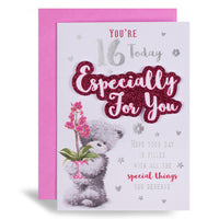 6pk Cards C50 Birthday Age 16 - Tiger Feet Ireland