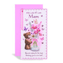 6pk Cards C55 Birthday Mam - Tiger Feet Ireland