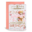 6pk Cards C75 Birthday Age 16 - Tiger Feet Ireland