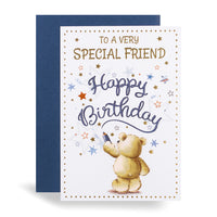 6pk Cards C50 Birthday Friend - Tiger Feet Ireland