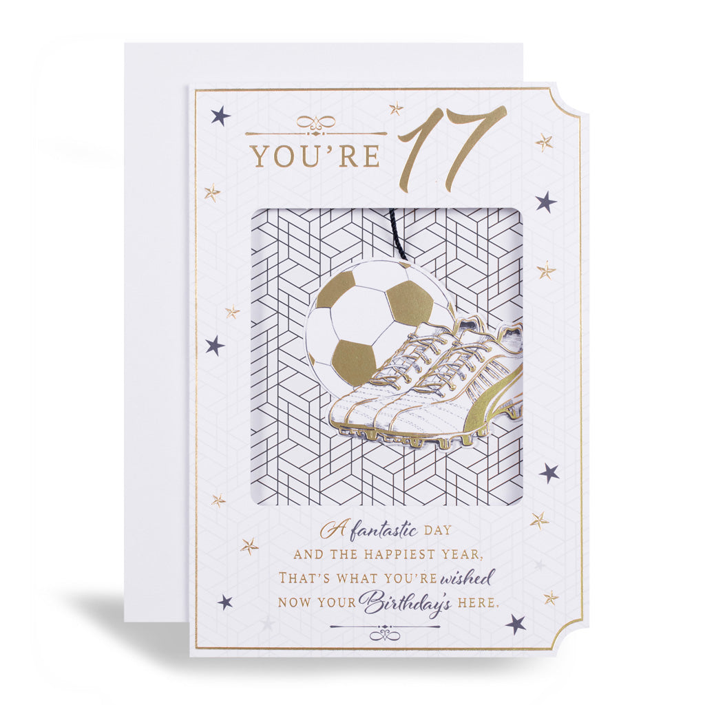 6pk Cards C50 Birthday Age 17 - Tiger Feet Ireland
