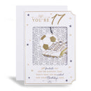 6pk Cards C50 Birthday Age 17 - Tiger Feet Ireland