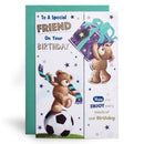 6pk Cards C75 Birthday Friend - Tiger Feet Ireland