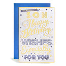 6pk Cards C375 Birthday Son - Tiger Feet Ireland