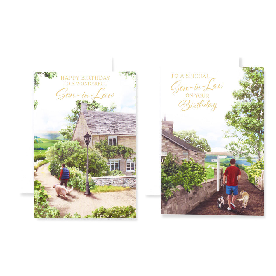 12pk Cards C50 Birthday Son-In-Law - Tiger Feet Ireland