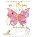 6pk Cards C50 Birthday Age 13 - Tiger Feet Ireland