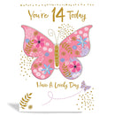 6pk Cards C50 Birthday Age 14 - Tiger Feet Ireland