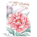 6pk Cards C50 Birthday Age 75 - Tiger Feet Ireland