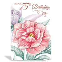 6pk Cards C50 Birthday Age 75 - Tiger Feet Ireland