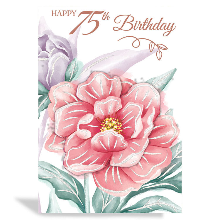 6pk Cards C50 Birthday Age 75 - Tiger Feet Ireland