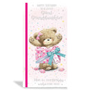 6pk Cards C55 Birthday Great-Granddaughter - Tiger Feet Ireland