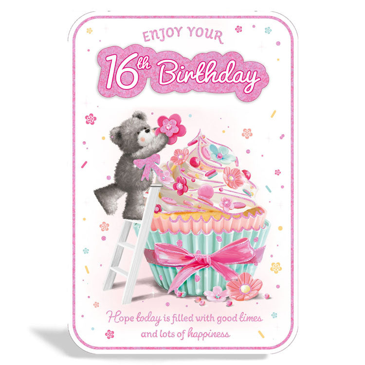 6pk Cards C75 Birthday Age 16 - Tiger Feet Ireland