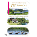 6pk Cards C75 Birthday Age 75 - Tiger Feet Ireland