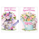 12pk Cards C50 Birthday Cousin - Tiger Feet Ireland