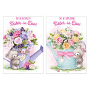 12pk Cards C50 Birthday Sister-In-Law - Tiger Feet Ireland