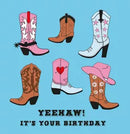Hip To Be Square 6 Pack Cards Birthday Open - Tiger Feet Ireland