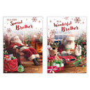 Poppyhill C50 Christmas Cards Brother 12pk - Tiger Feet Ireland