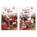 Poppyhill C50 Christmas Cards Dad 12pk - Tiger Feet Ireland
