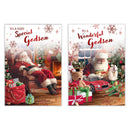 Poppyhill 12 Pack Cards C50 Christmas Godson - Tiger Feet Ireland