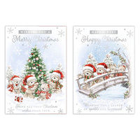 Poppyhill 12 Pack Cards C50 Christmas Open - Tiger Feet Ireland