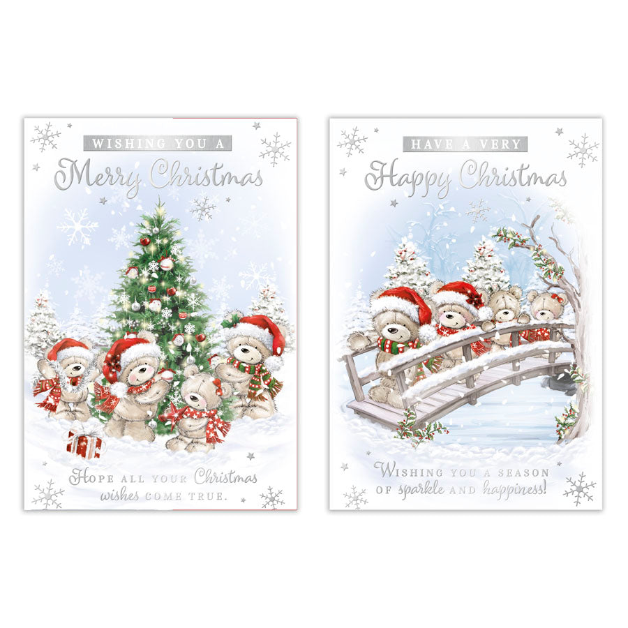 Poppyhill 12 Pack Cards C50 Christmas Open - Tiger Feet Ireland