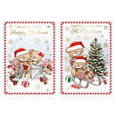 Poppyhill 12 Pack Cards C50 Christmas Open - Tiger Feet Ireland