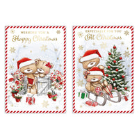 Poppyhill 12 Pack Cards C50 Christmas Open - Tiger Feet Ireland
