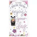 Prelude 6 Pack Cards C55 Birthday Friend - Tiger Feet Ireland