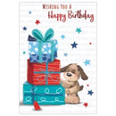 Kingsley 6 Pack Cards C50 Birthday Open - Tiger Feet Ireland