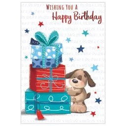 Kingsley 6 Pack Cards C50 Birthday Open - Tiger Feet Ireland