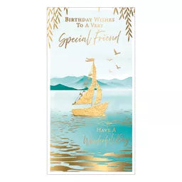 Prelude 6 Pack Cards C55 Birthday Friend - Tiger Feet Ireland
