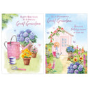 Poppyhill 12 Pack Cards Birthday Great-Grandma