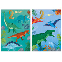 Poppyhill 12 Pack Cards C50 Birthday Age 2