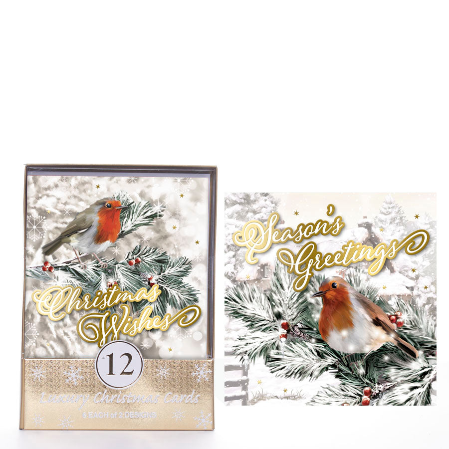 Tiger Feet C50 Christmas Acetates Robin 24x12pk - Tiger Feet Ireland