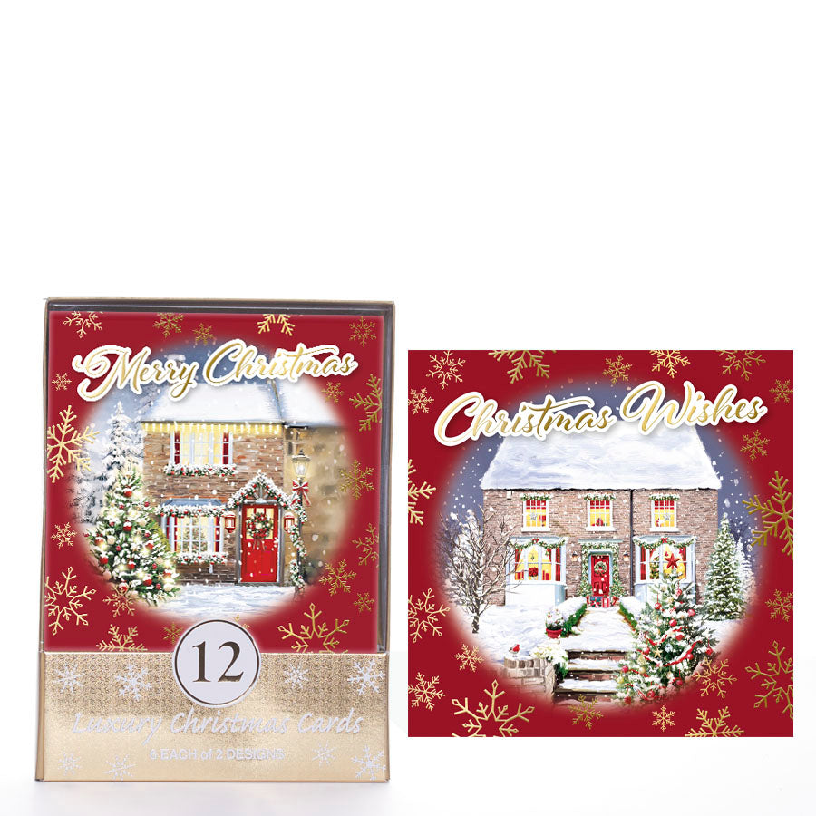 Tiger Feet C50 Christmas Acetates Outdoor 24x12pk - Tiger Feet Ireland