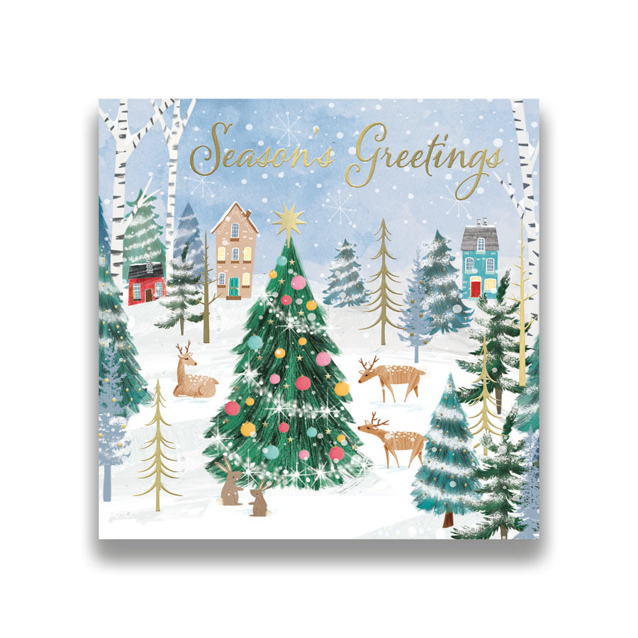 Prelude C160S Christmas Boxed Cards Open 10pk - Tiger Feet Ireland