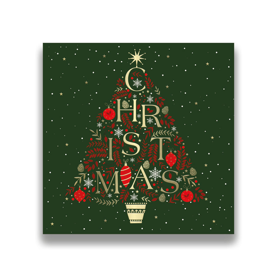Prelude C160S Christmas Boxed Cards Open 10pk - Tiger Feet Ireland