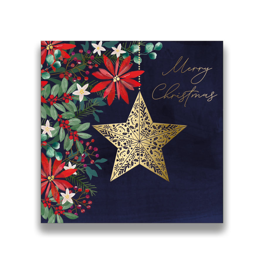 Prelude C160S Christmas Boxed Cards Open 10pk - Tiger Feet Ireland