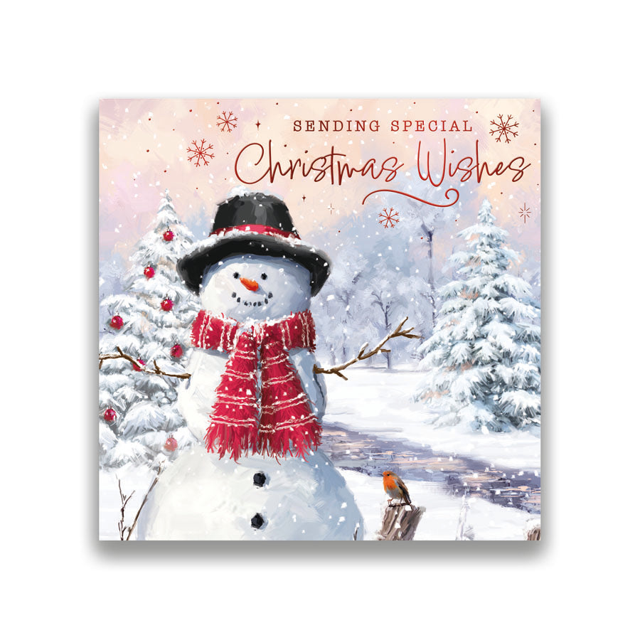 Prelude C160S Christmas Boxed Cards Open 10pk - Tiger Feet Ireland