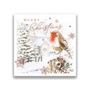 Prelude C160S Christmas Boxed Cards Open 10pk - Tiger Feet Ireland