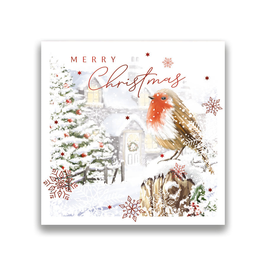 Prelude C160S Christmas Boxed Cards Open 10pk - Tiger Feet Ireland