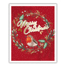 Tiger Feet Christmas Boxed Cards Medium 22pk - Tiger Feet Ireland
