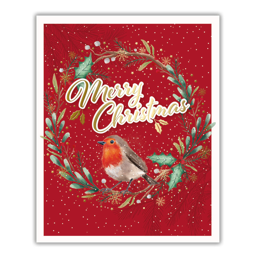 Tiger Feet Christmas Boxed Cards Medium 22pk - Tiger Feet Ireland